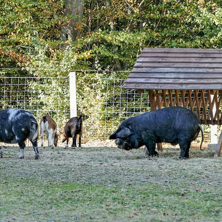 Das Zechenhaus * Dankerode (Saxony-Anhalt)